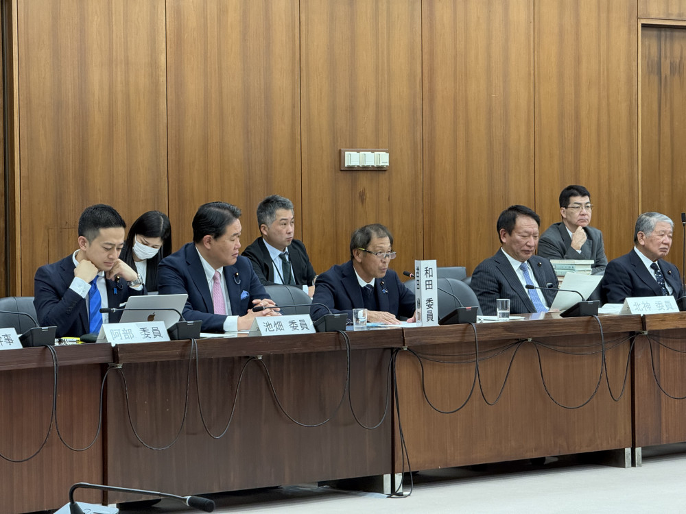 衆議院憲法審査会にて発言いたしました。