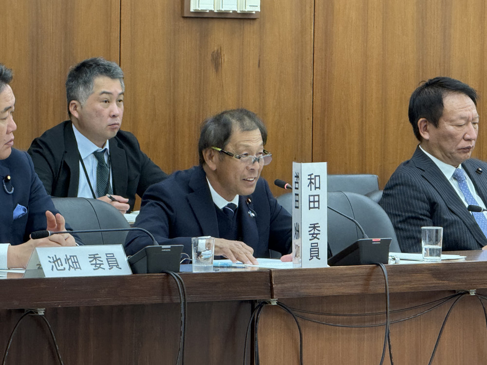 衆議院憲法審査会にて発言いたしました。